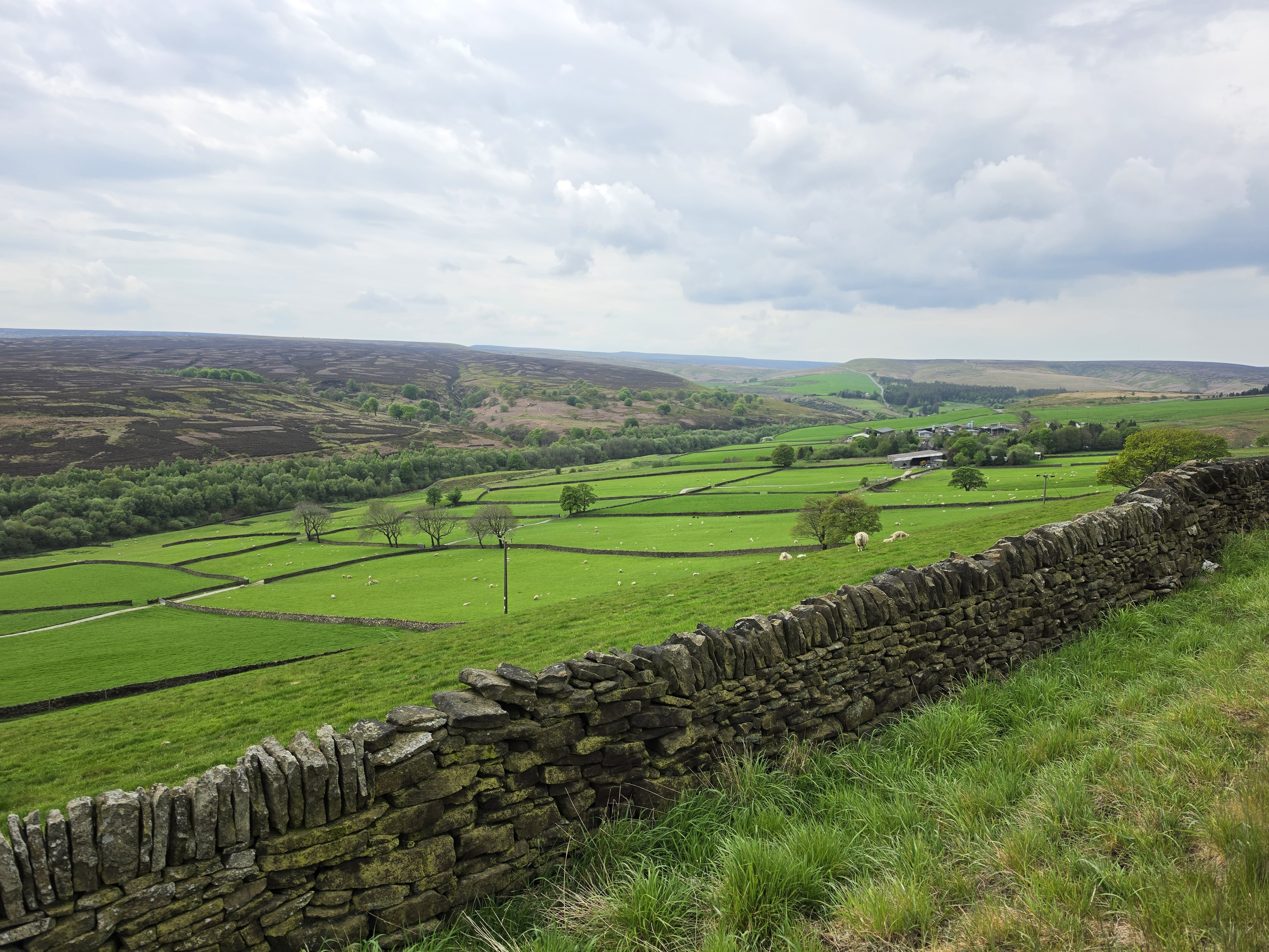Yorkshire Dales