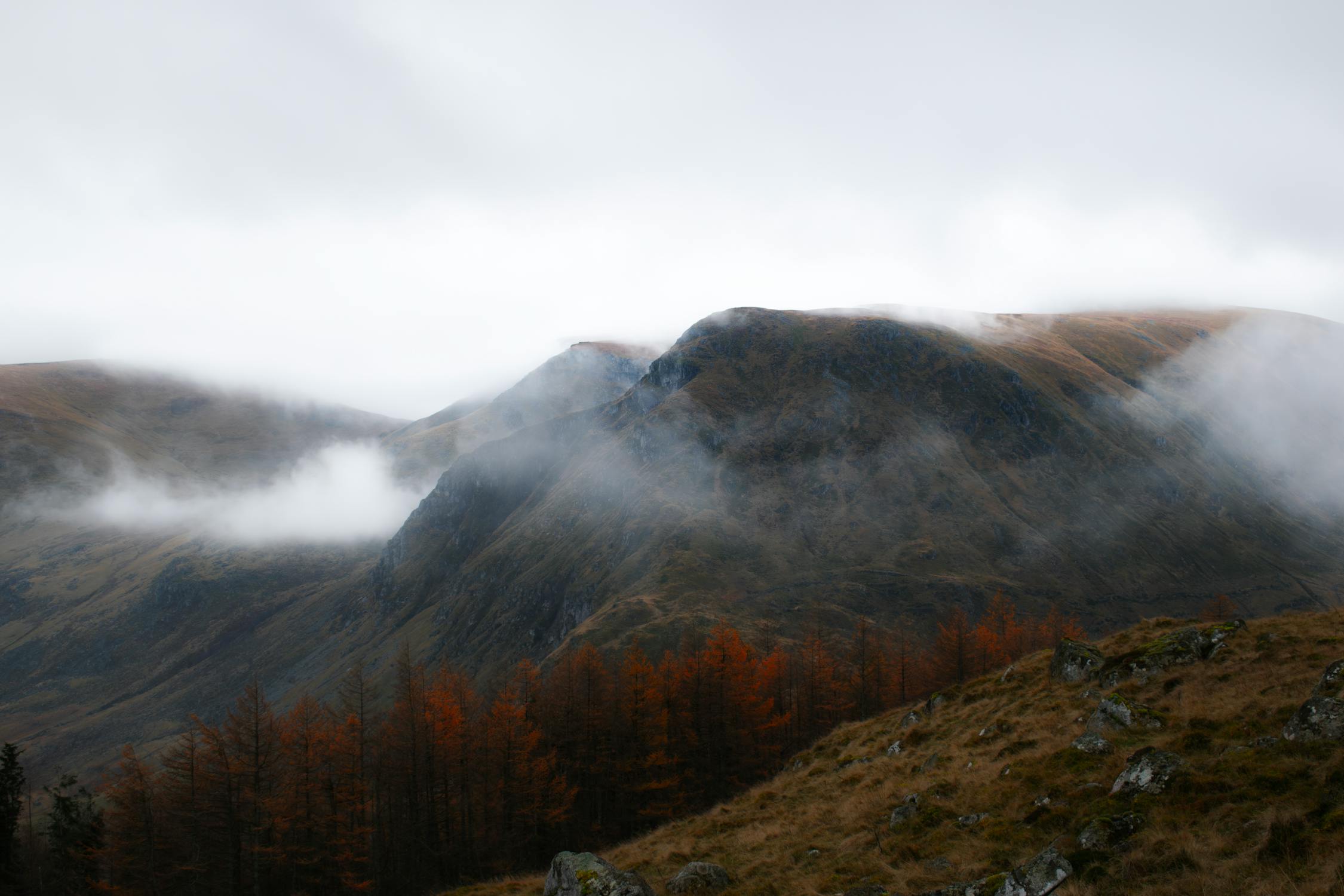 Scotland