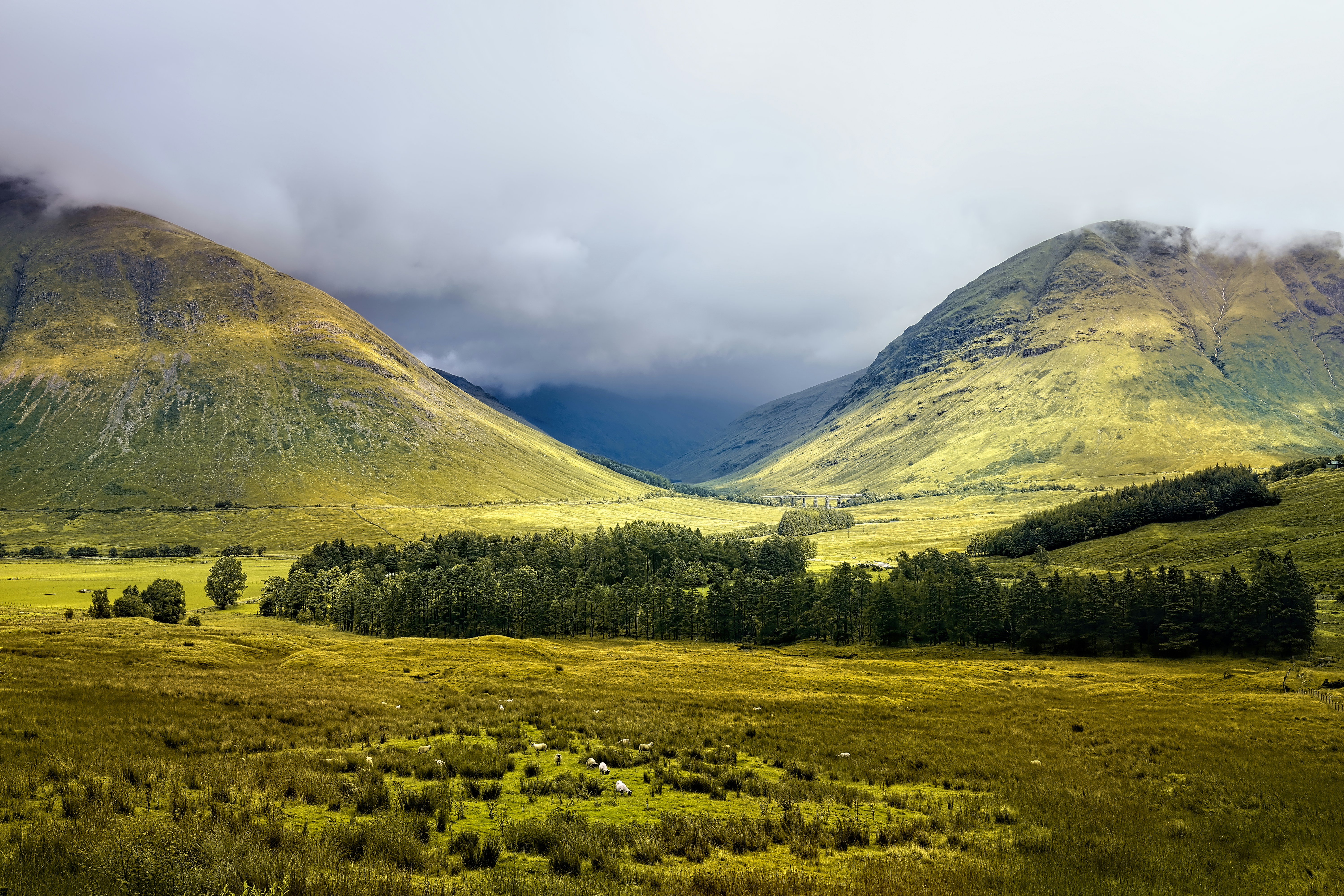The Highlands