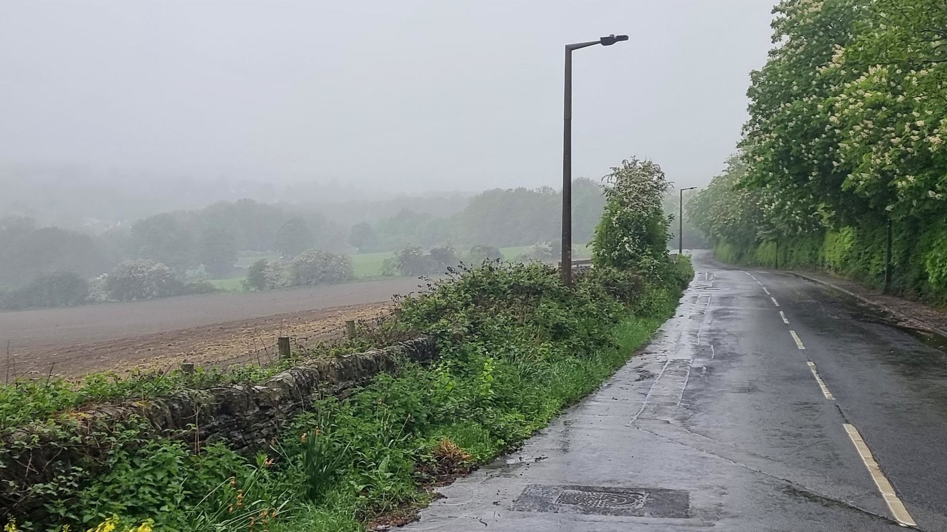 Morning Mist