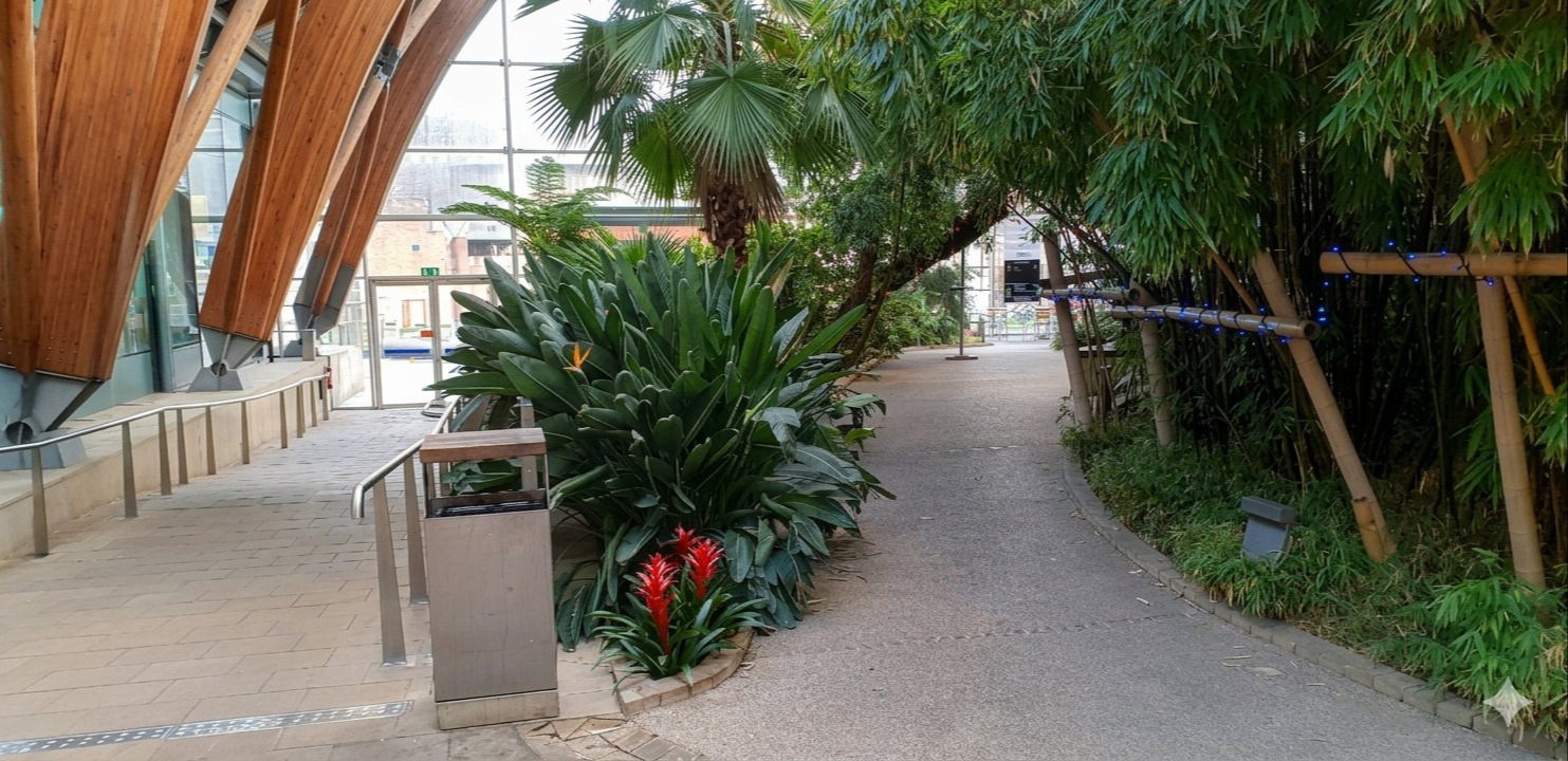 Winter Garden Greenery