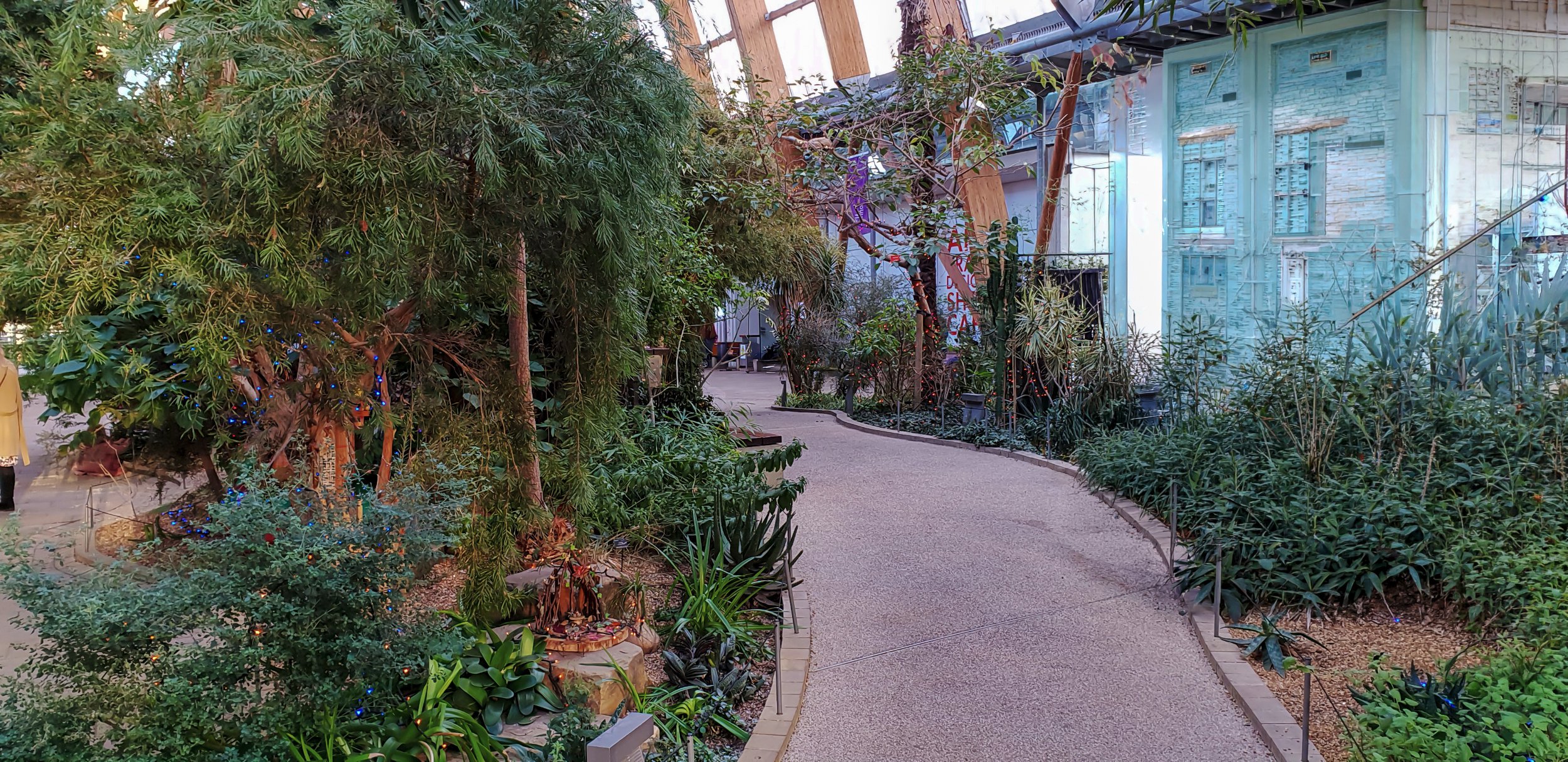 A Green Oasis in the Heart of Sheffield
